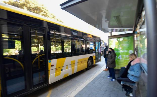 Veinte líneas de buses prestarán servicios en el Reina Sofía de Murcia