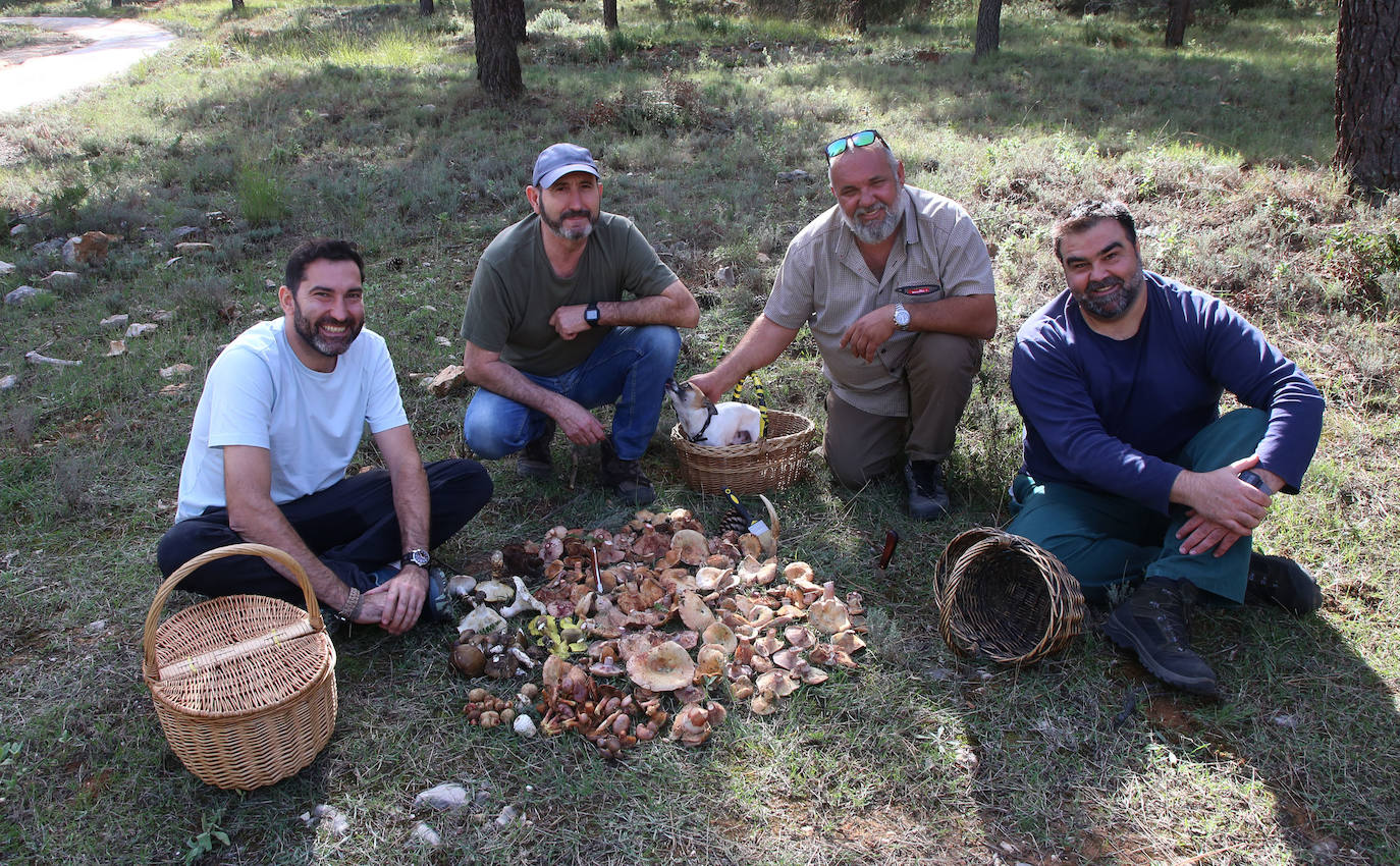 A por setas con el chef David López