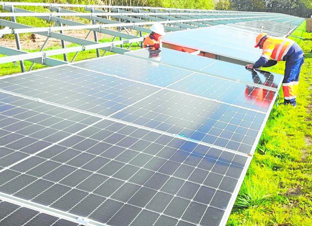 Las empresas regionales se posicionan en el mercado global de las energías renovables