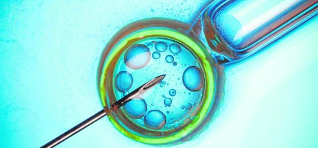 Una gota de saliva para detectar las hormonas de la fertilidad