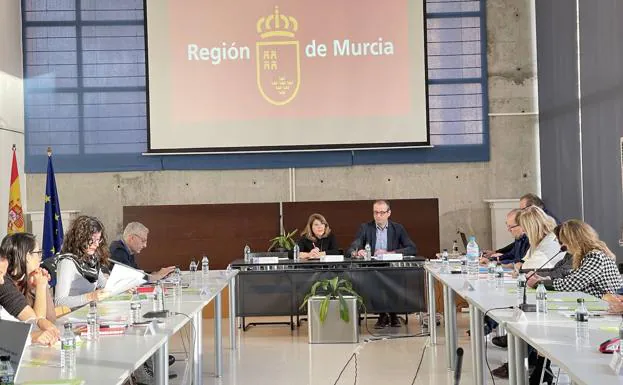 Mesa Sectorial de Educación celebrada este lunes./CARM