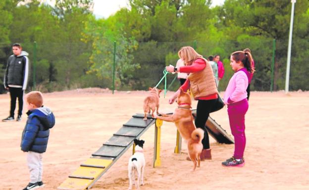 Calasparra estrena zona de recreo para las mascotas