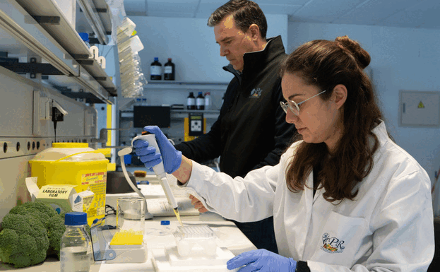 Los 10 hitos científicos de la Región de Murcia en 2022