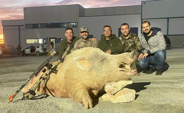 Abaten a un jabalí de 200 kilos que tenía atemorizados a los vecinos de Cieza