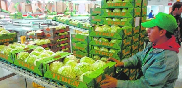 La industria pide que se posponga la entrada del nuevo impuesto al plástico