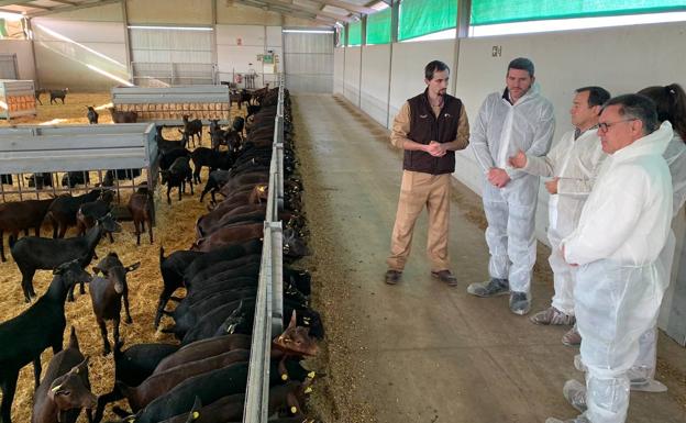 El Ejecutivo regional exige al Gobierno central aplicar la bajada del IVA a la carne, el pescado y las conservas