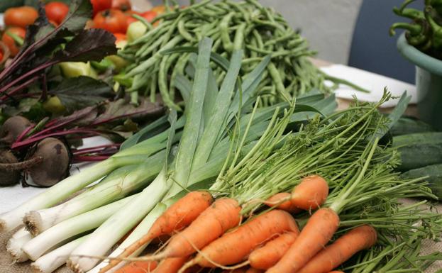 Las ayudas de la PAC en la Región superaron los 34 millones en 2022