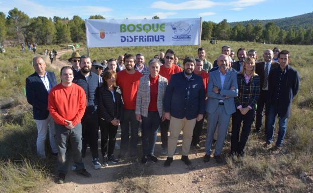 Pinos contra la huella de carbono empresarial en la Región de Murcia