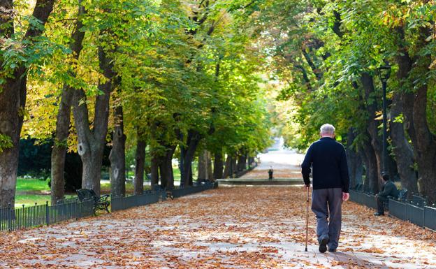 Cuándo es el mejor momento para preparar un plan de pensiones