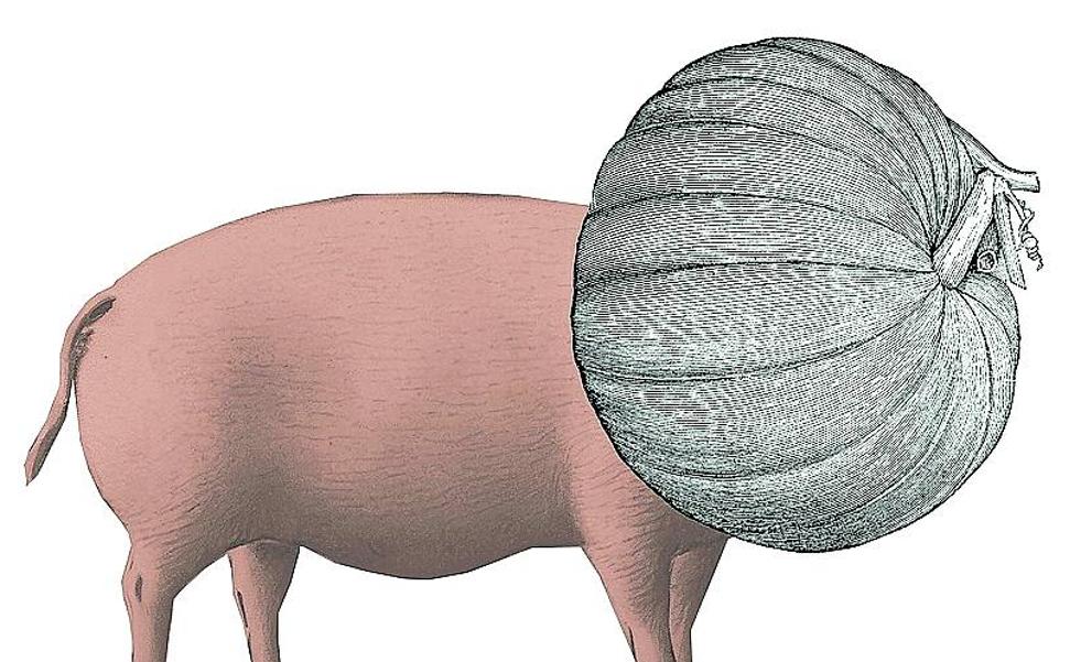 Churras y merinas vegetales (II)