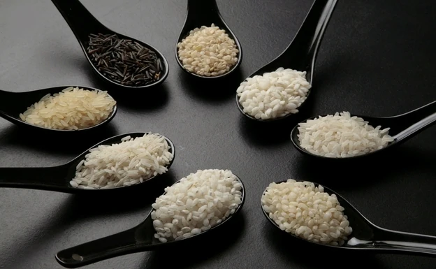Spoons with rice of different varieties