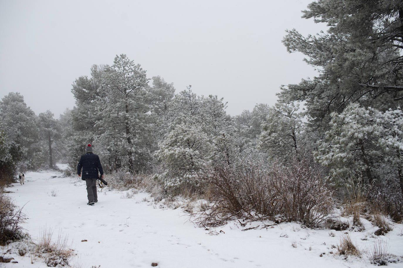 La nieve en las pedanías altas de Caravaca y Moratalla, en imágenes