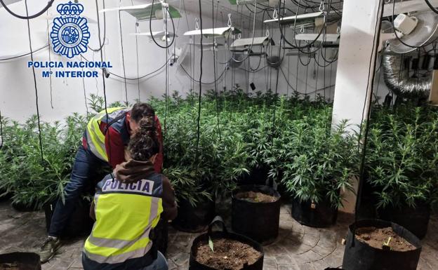 Desarticulada una banda relacionada con la mafia albanesa asentada en la Región de Murcia y en Alicante