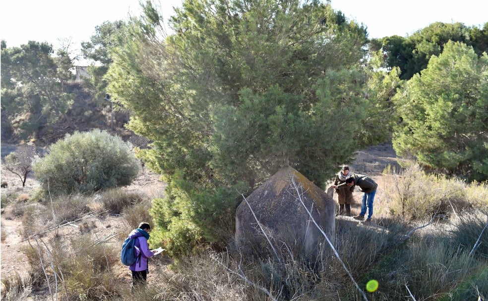 Los guardianes del patrimonio natural del municipio de Murcia