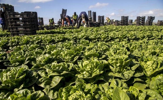 CaixaBank augura una ralentización de la economía regional para este año por el mayor impacto en el agro
