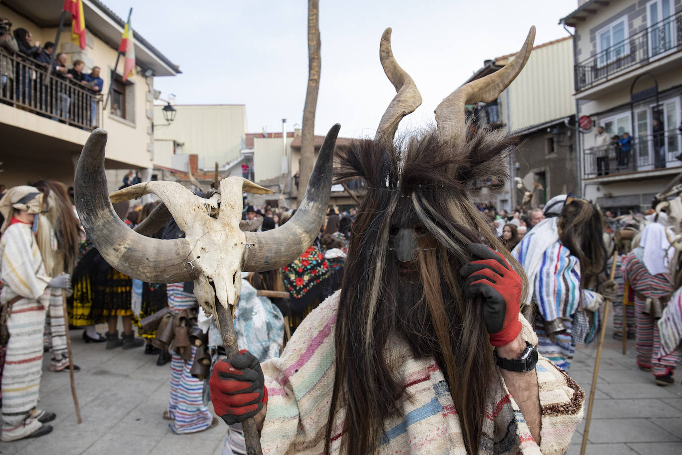 Los cucurrumachos invaden Navalosa
