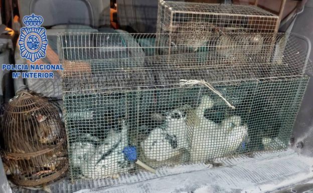 Tres detenidos tras ser sorprendidos en el interior de una vivienda de Murcia