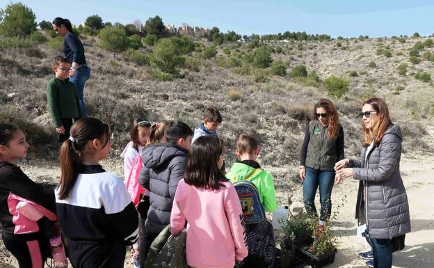 El Colegio Virgen de la Candelaria participa en una campaña de reforestación en Las Tosquillas