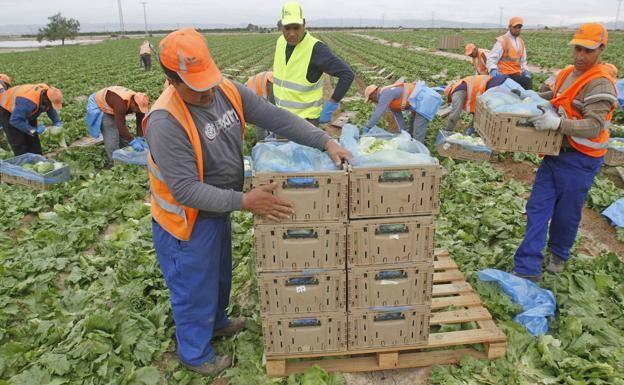 Estos son los perfiles de empleo más demandados en la Región de Murcia en 2023