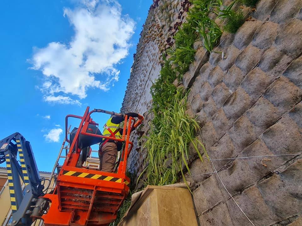 Caravaca crea el jardín vertical más grande de la Región con más de dos mil plantas de veinte especies