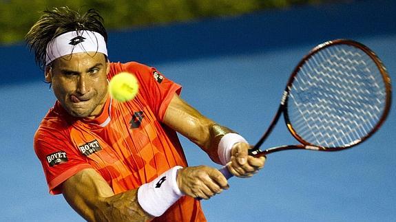 Ferrer se medirá con Nishikori en la final de Acapulco