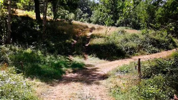 Un ciclista muere al topar con un cable colocado en una senda en Cantabria