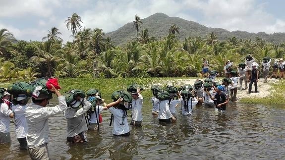 Veintinueve kilómetros a pie por la selva colombiana