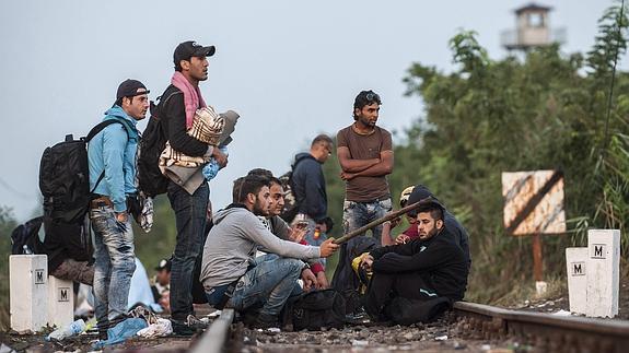 Cientos de migrantes llegan a Viena y toman trenes hacia Alemania