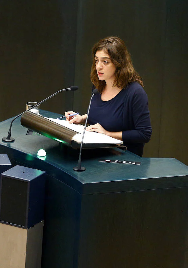 Ahora Madrid y PSOE evitan que se vote la reprobación de Celia Mayer