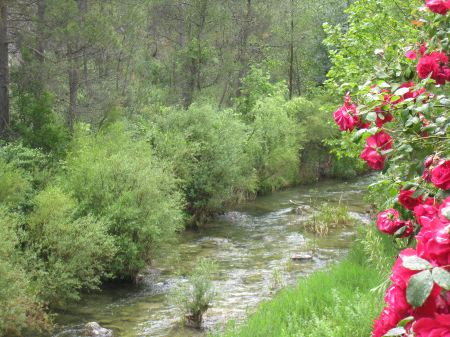 Balneario del río Tus