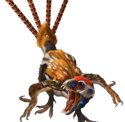 Descubren en China un ‘eslabón’ de la evolución de los dinosaurios a aves