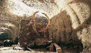 Logran el genoma del mamut con pelos de hace 60.000 años