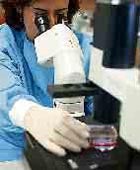 El año de la reprogramación de las células