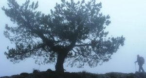 Cuatro itinerarios para llegar al techo