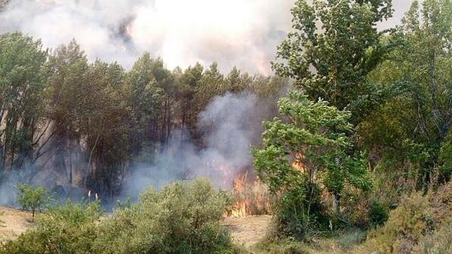 Dos incendios simultáneos amenazan La Calderona y Calles