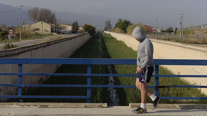 Los servicios de Zoonosis atienden las primeras 13 denuncias por mosquito tigre
