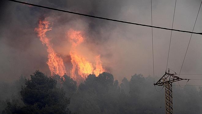 Alto riesgo de incendios en el norte de la provincia