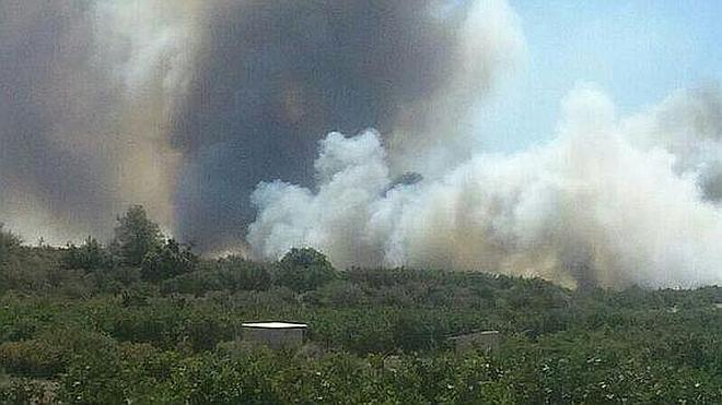 El incendio forestal en Valencia remite y ya no hay llama