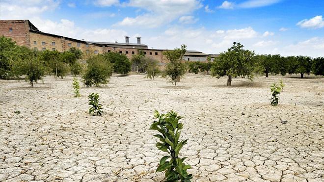 Tejerina afirma que tiene medidas preparadas para paliar la sequía