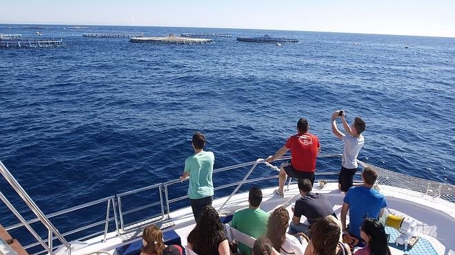 El barco de ávila para conocer gente El barco de ávila para conocer gente
