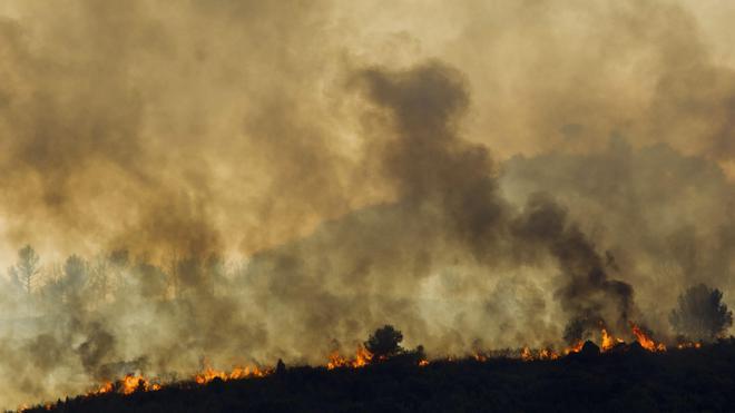 ¡Alerta! Riesgo máximo de incendios forestales