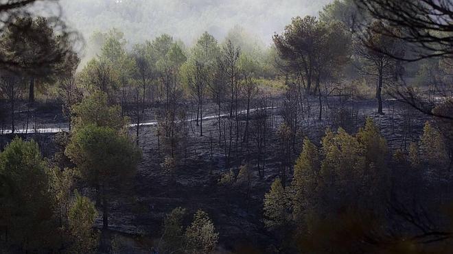 El PP rechaza una iniciativa para potenciar la prevención de incendios