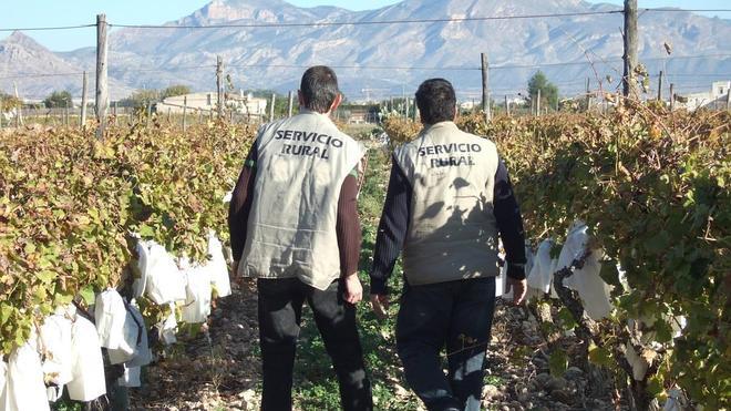 Trabajo suspende la paga mensual a jubilados 'cazados' en el campo