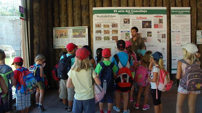 Terra Natura Benidorm abre su escuela de verano bilingüe