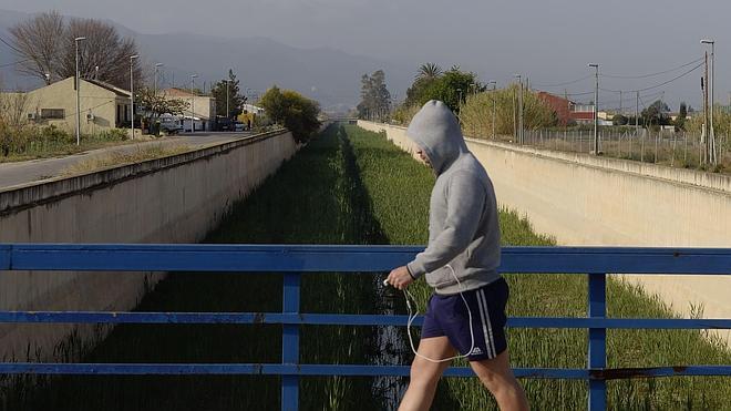 Una aplicación 'caza' al mosquito tigre