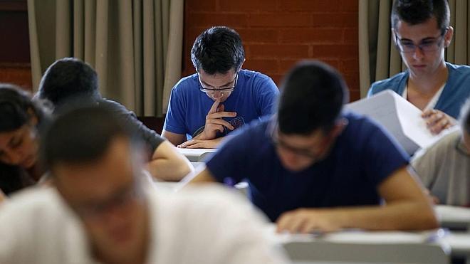 Cientos de profesionales buscan ya trabajo en la universidad de El Campello