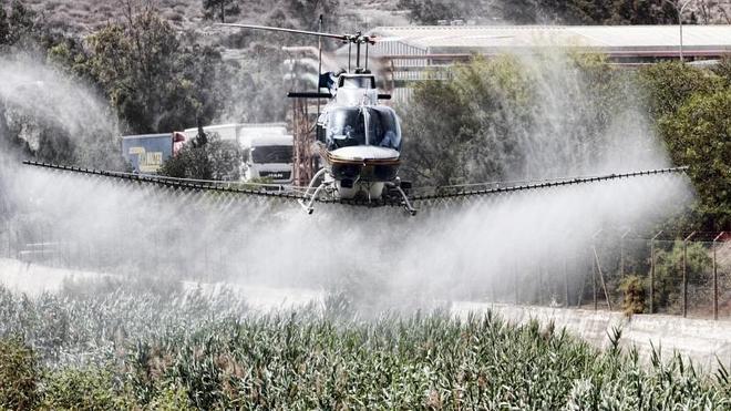 Mosquitos y cucarachas dan un respiro por la sequía y los tratamientos preventivos