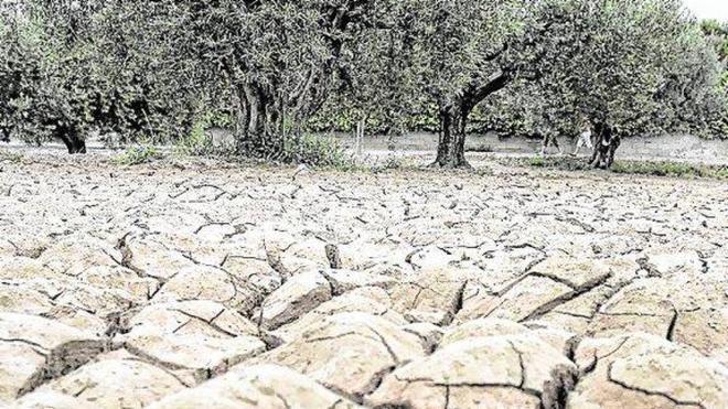 La provincia despide junio sin apenas lluvias para aliviar la grave sequía que padece