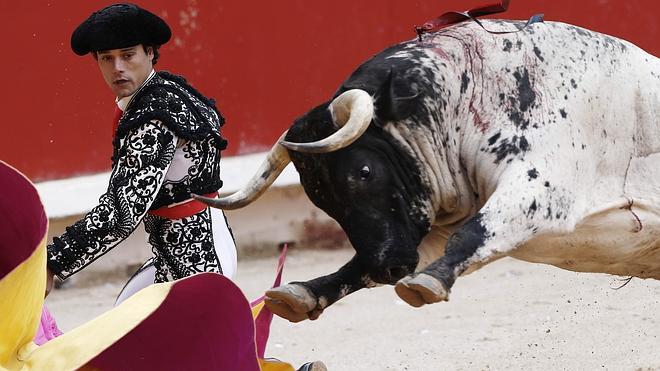 Bellos torrestrellas, bravo Abellán