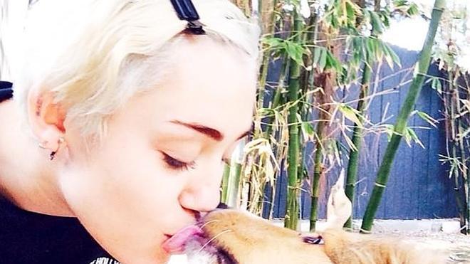 ¿Miley Cyrus ha muerto?